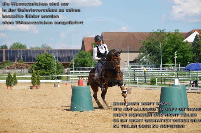 s_K3F06947.JPG